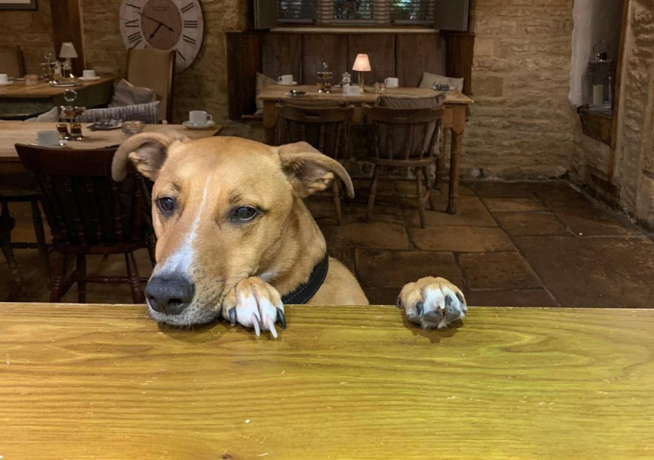The Horse & Groom Стоу на Вёлд Экстерьер фото